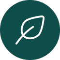 Introducing The Concept