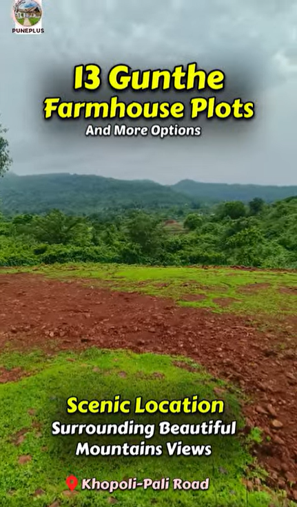 100-agriculture-plot-84a85e09-51eb-46fb-b63e-b5c7ab43b57e.png