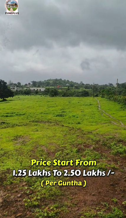 100-agriculture-plot-a147d93c-16e3-40fa-9e2e-f2d005b5e3fe.png