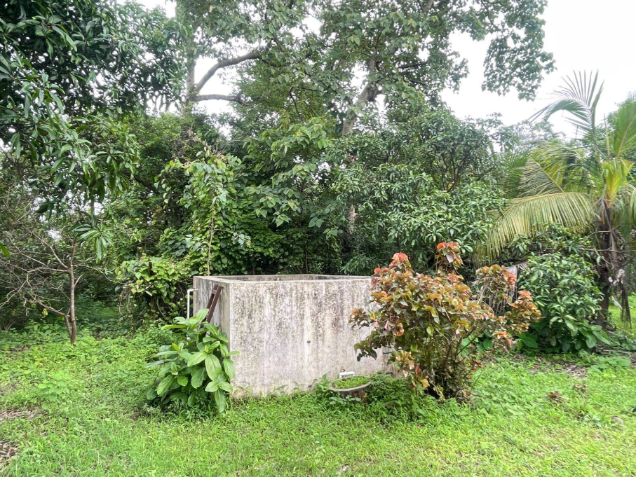 114-farmhouse-plot-1413f8ec-25de-4a38-99ee-3b7104b6dbda.png