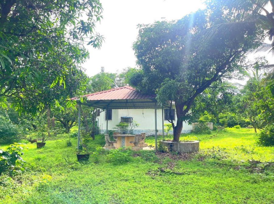 114-farmhouse-plot-157dce1f-71b5-405d-894c-fd00ab973454.png