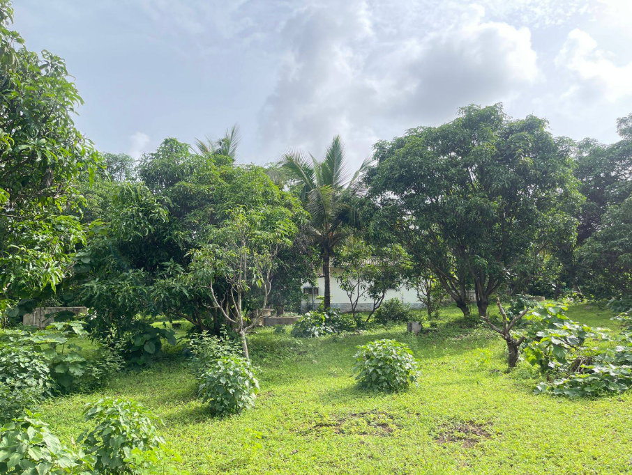 114-farmhouse-plot-bf6cee2d-5bc3-4a9d-9e5c-aa904486f53b.png