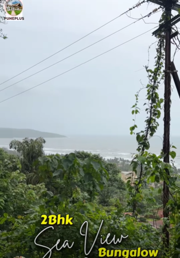 115-bungalow-5e182f56-d569-4f34-b697-4a49db7584b3.png