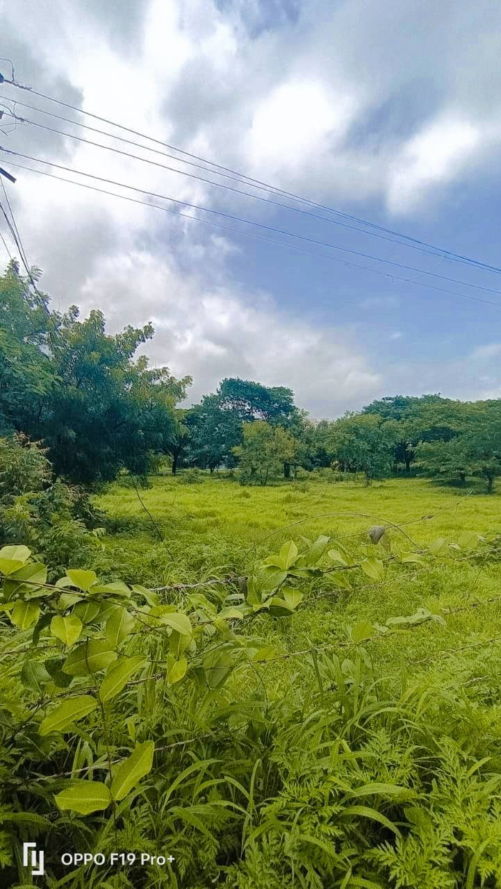 Bavdhan Pune - 5500 SQFT Residential NA Plotting Project