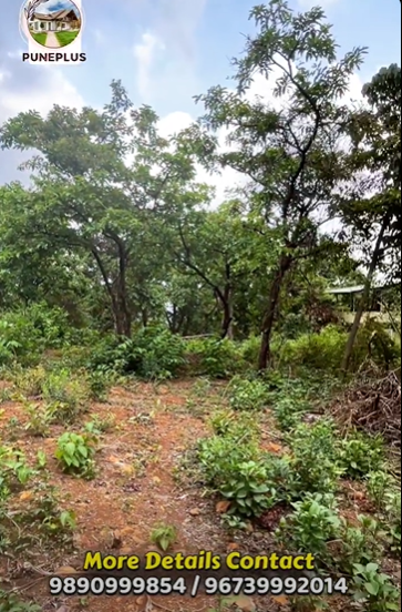 133-farmhouse-plot-40ac4c65-7ed9-4252-899e-fba53063c488.png