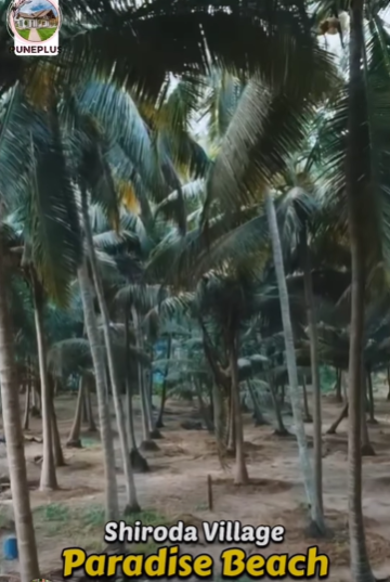 135-hotel-resort-36783d4e-bc44-427d-982f-207c6b4f7740.png