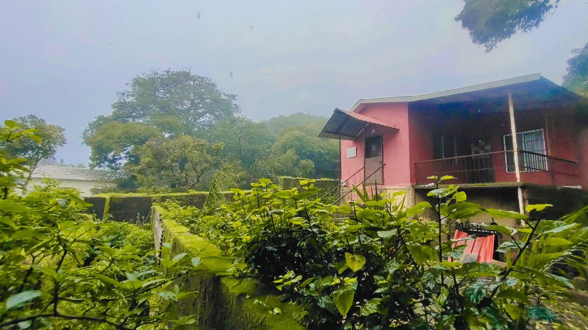 137-bungalow-03382834-11e8-4a48-88de-eb9f93c571a6.png