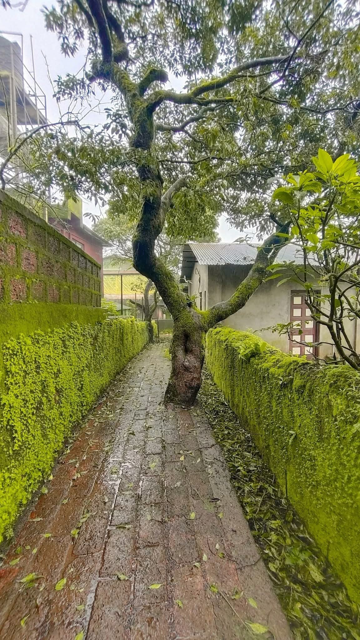 137-bungalow-37771a49-be58-4d5d-a654-d4a43f700a2c.png