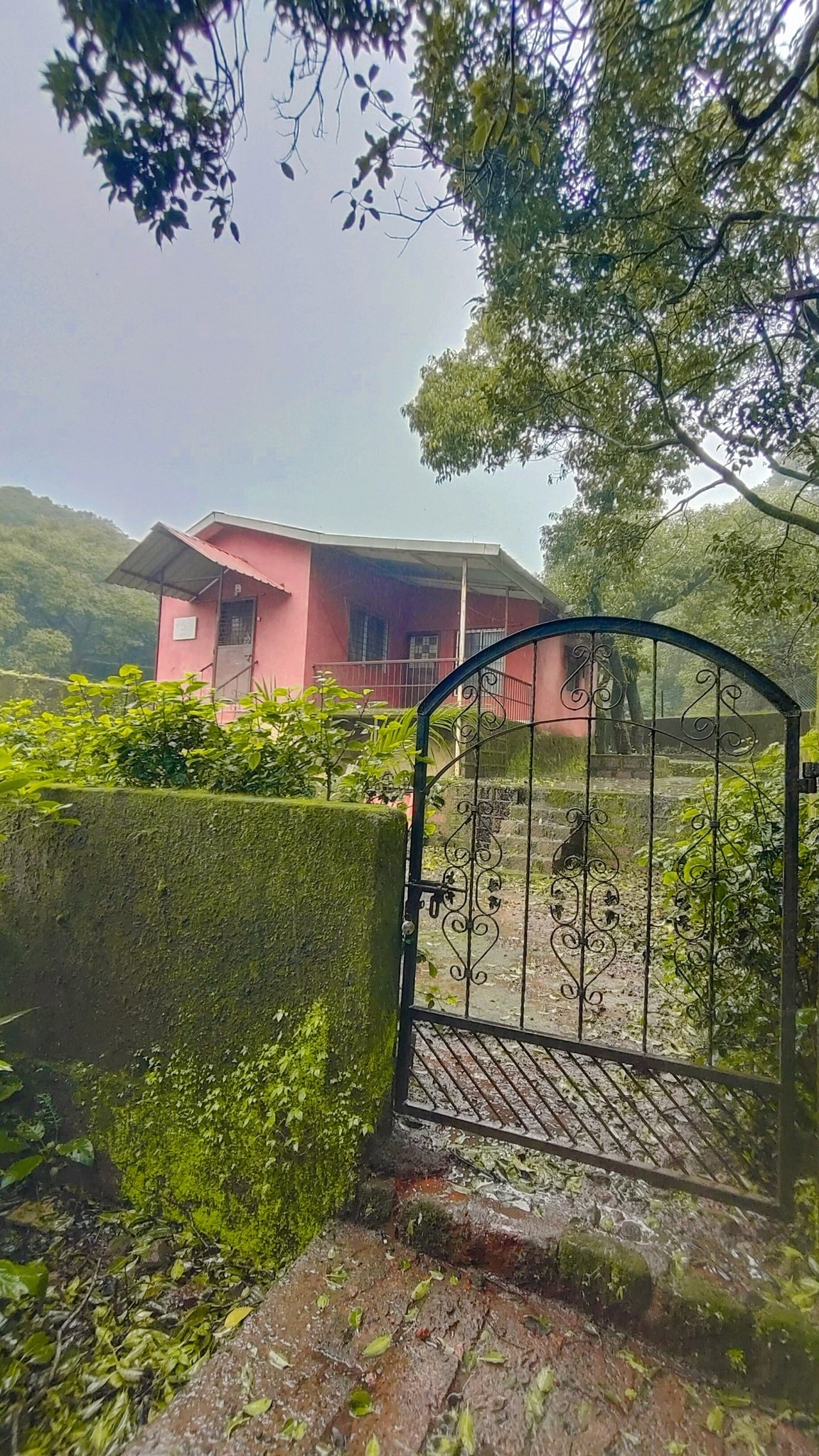 137-bungalow-3f86c4bb-6b3b-4992-85d2-dba6db97bf04.png