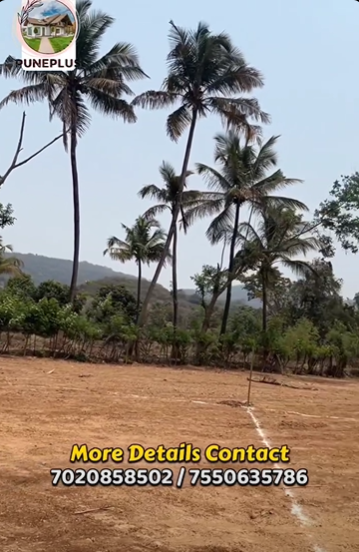 146-agriculture-plot-98e6c365-f7d7-4bcc-99ad-dcfeea90c66a.png