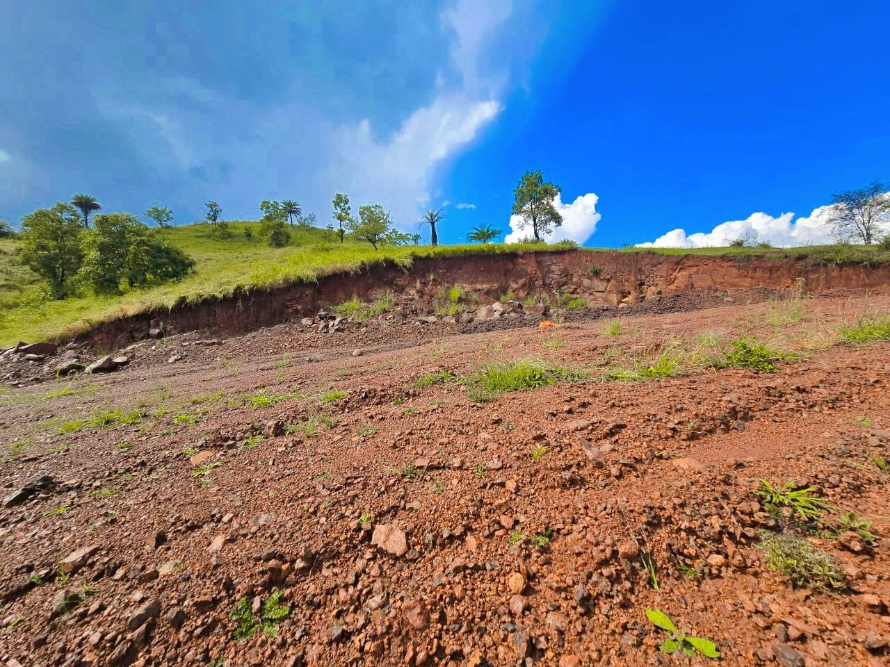 152-agriculture-plot-0ec614fd-8247-4eba-8508-0d26899f887b.png
