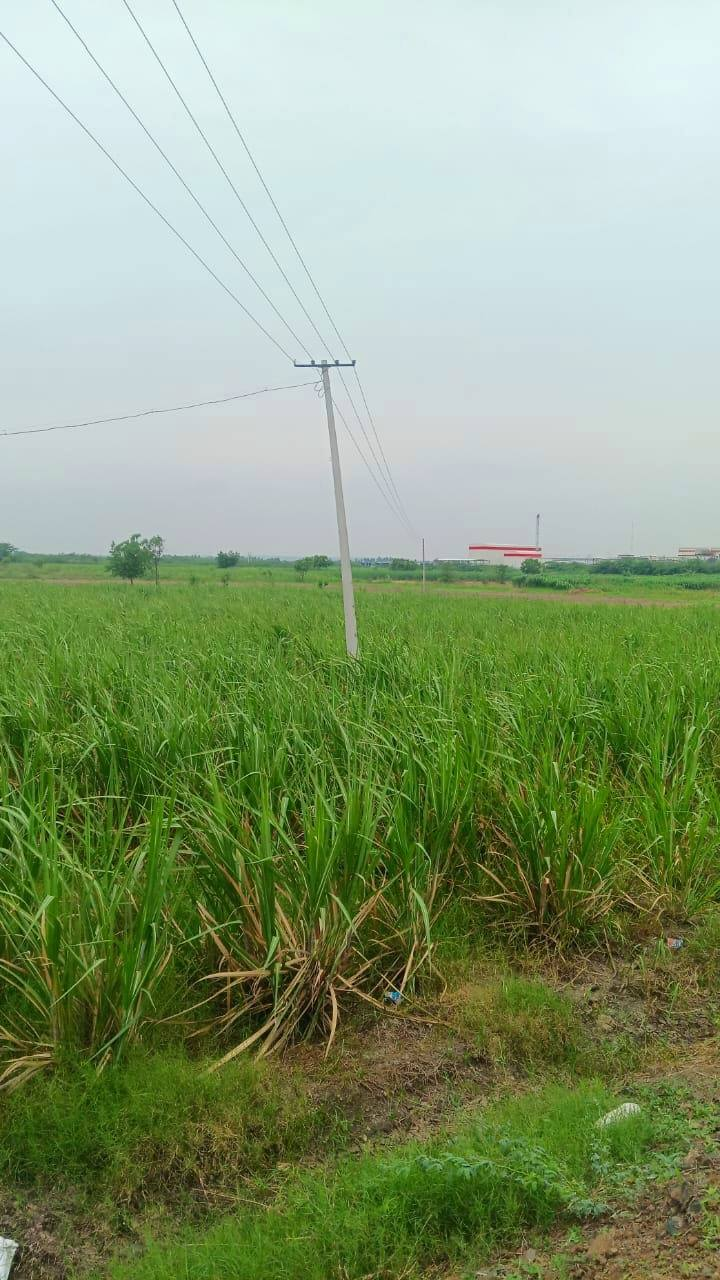 154-agriculture-plot-b53d2173-c974-4319-8cb0-de9013a2d498.png