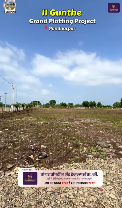 156-agriculture-plot-61305478-fd83-4eb9-a8ce-6f8c4874f23d.png