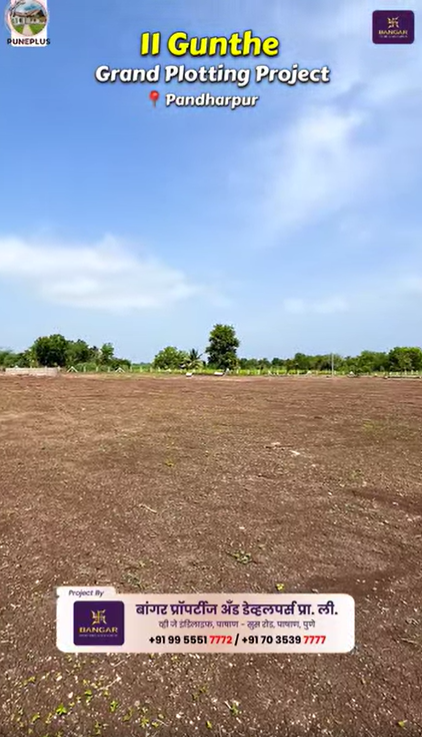 156-agriculture-plot-c7972658-3ed4-4a60-a412-5a59e35c0046.png