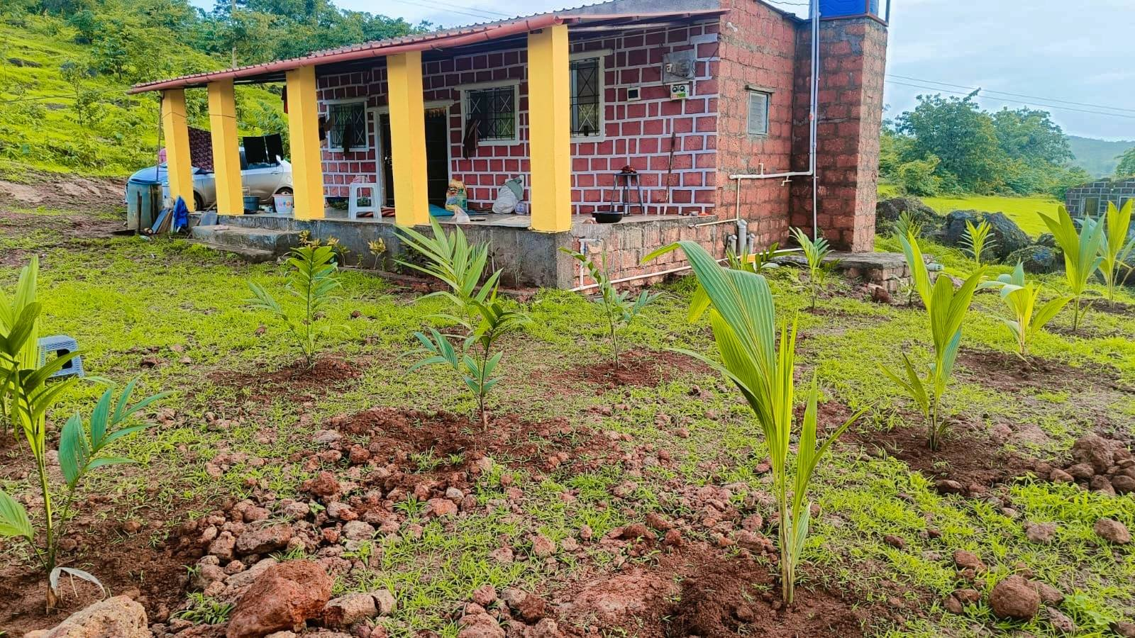 157-agriculture-plot-d881acbd-4170-4219-bde7-a869efcc8665.png