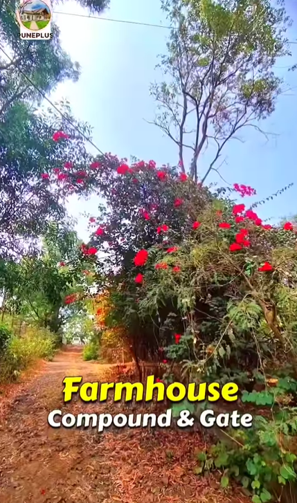 159-farmhouse-plot-2c031a32-00ac-4835-a718-30ded3fd2cb3.png
