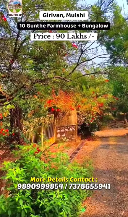 159-farmhouse-plot-bcd29321-0334-4fcc-963f-04b1d0f6fd1f.png