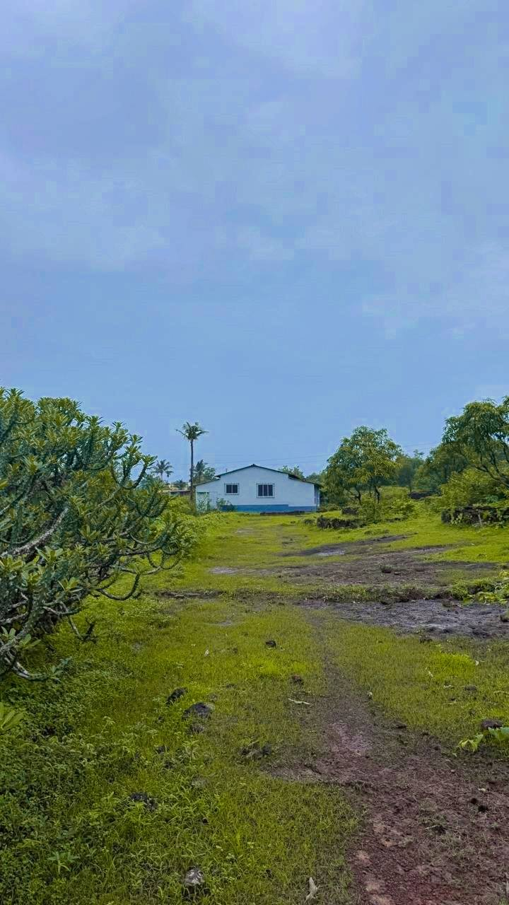 160-farmhouse-plot-bd748d61-e7c6-4588-94a5-ec9c015dab84.png