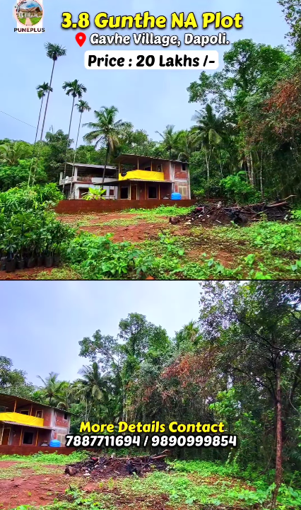 163-farmhouse-plot-30c5c411-c709-4781-b6f6-e6ff4a2a5e88.png
