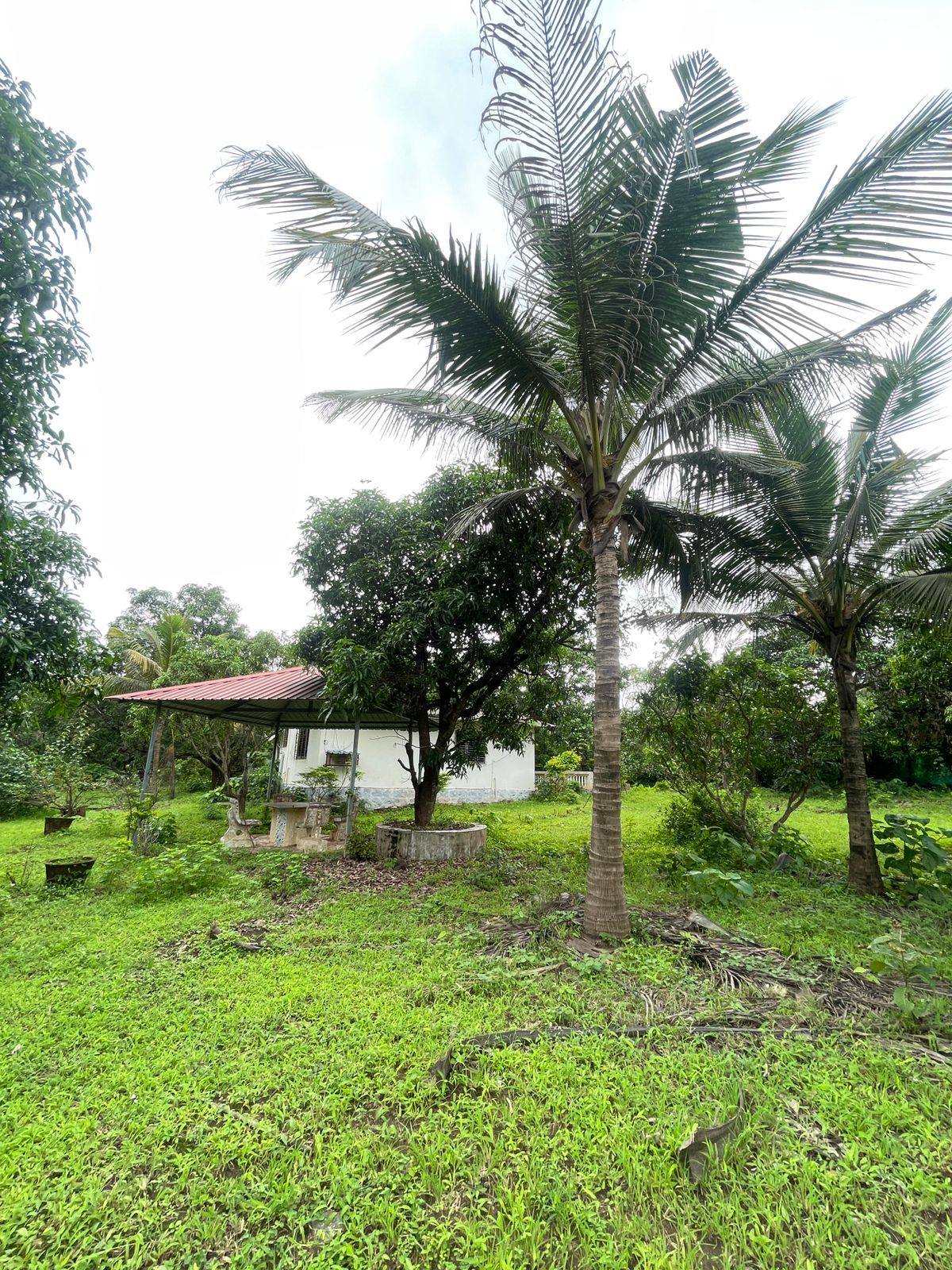 180-agriculture-plot-0a860e62-206f-4175-9c52-23016e2c7dce.jpg