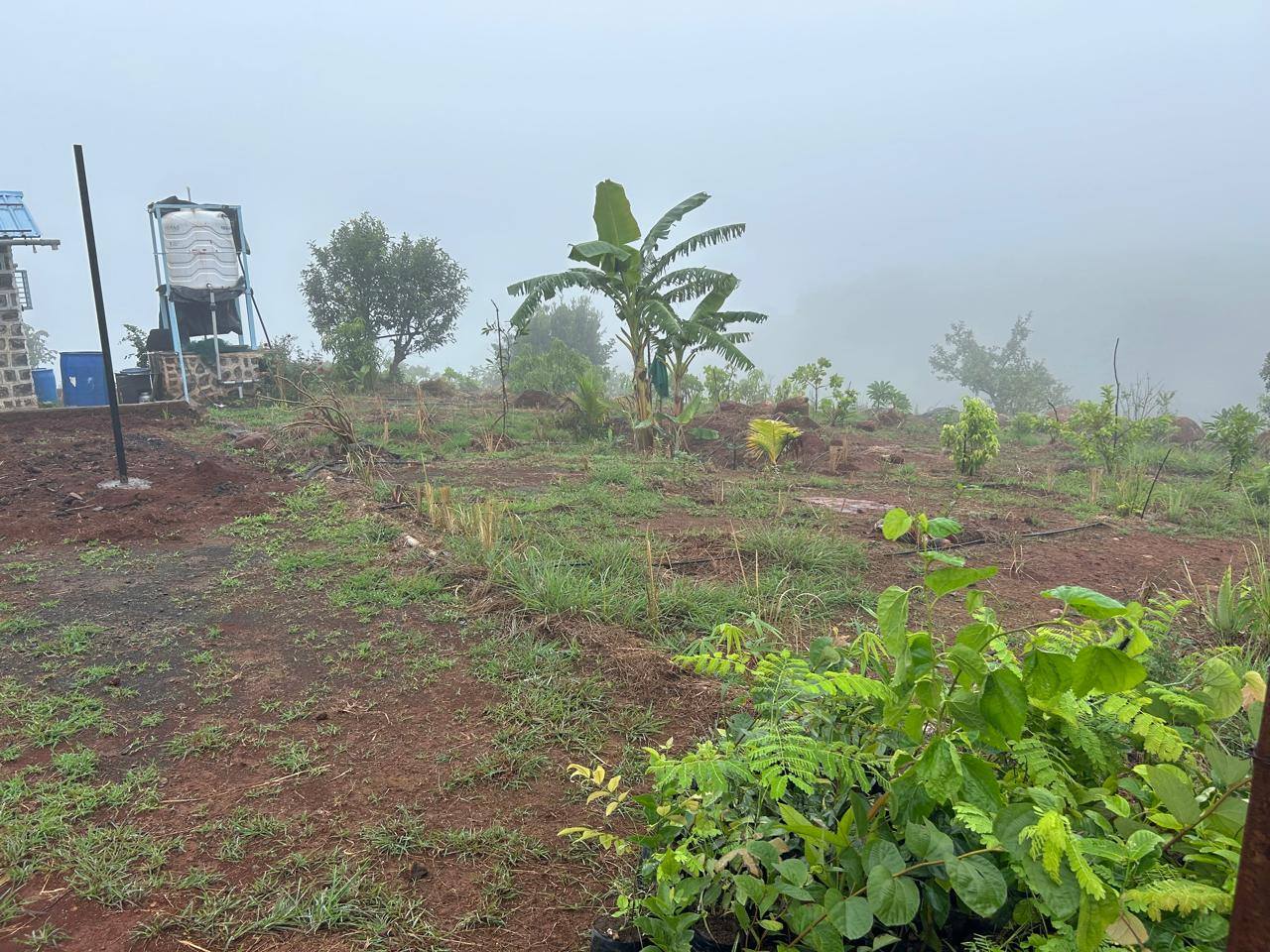 181-agriculture-plot-5e94cfe2-0051-4215-9c12-60082202d6e7.jpg