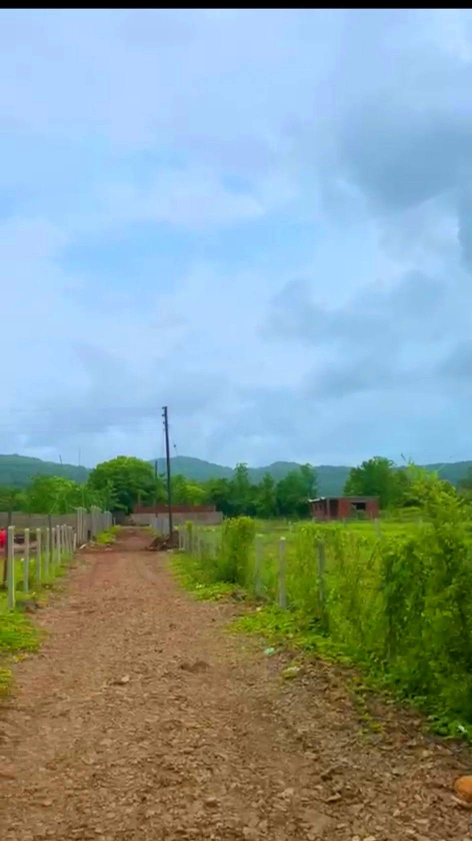 186-agriculture-plot-e88759c6-e255-4786-ac0c-ef6f440fc3d1.jpg