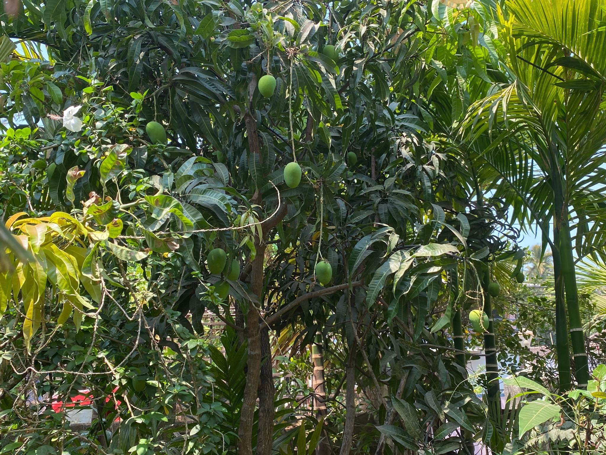 189-agriculture-plot-5d445e77-d65e-41cc-8da4-3d169339dc65.jpg
