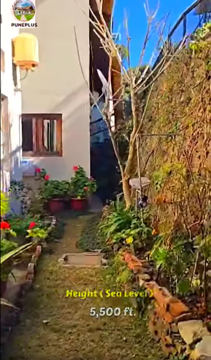 196-bungalow-6bb4ff73-e781-4124-9628-3ffc021779f0.png