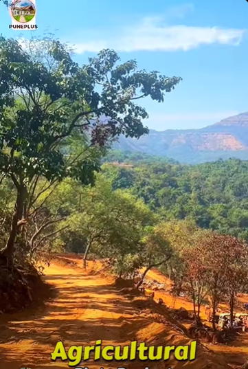 Girivan-Mulshi - 11000 SQFT Dam View Agriculture Plots Project