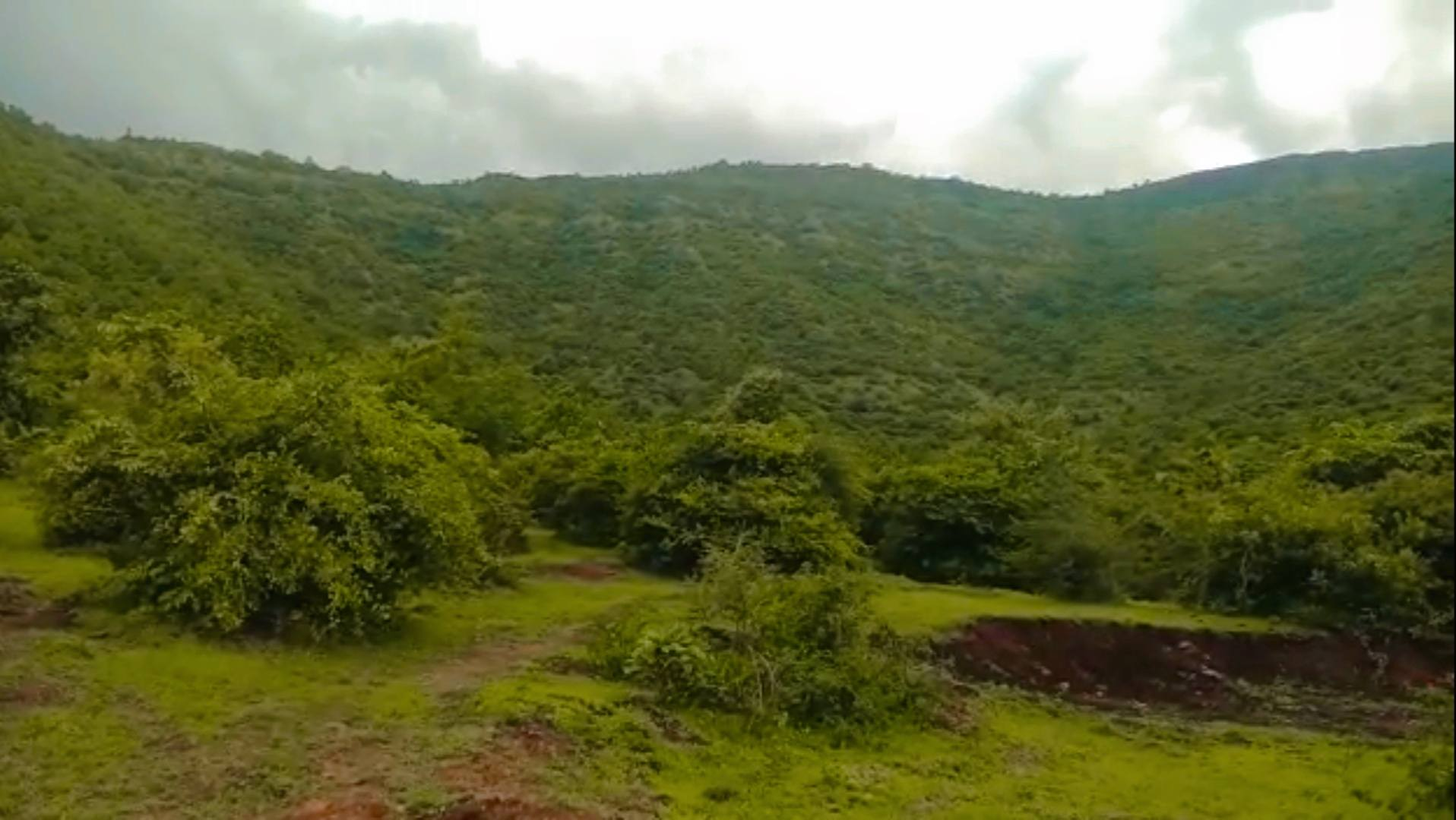 Wai - 40 Acre Land