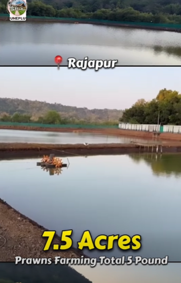 Ratnagiri-Rajapur - 7.5 Acres Prawns Farming of Total 5 Pond 