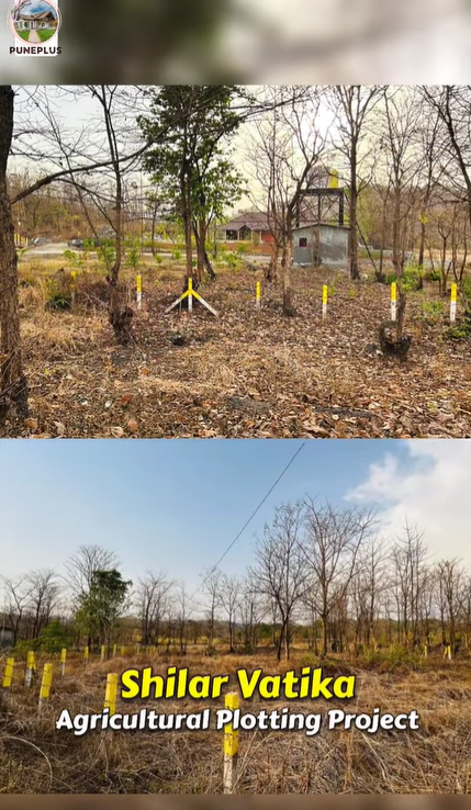 Karjat-Shilar Vatika Plotting Project - 16 Gunthe Plot for Sale
