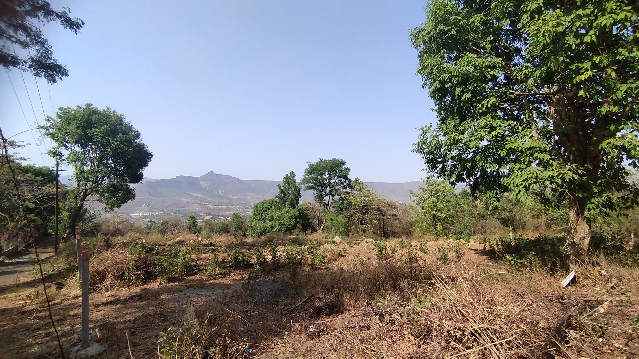 Girivan-Mulshi - 1 Acre Farmhouse Plot