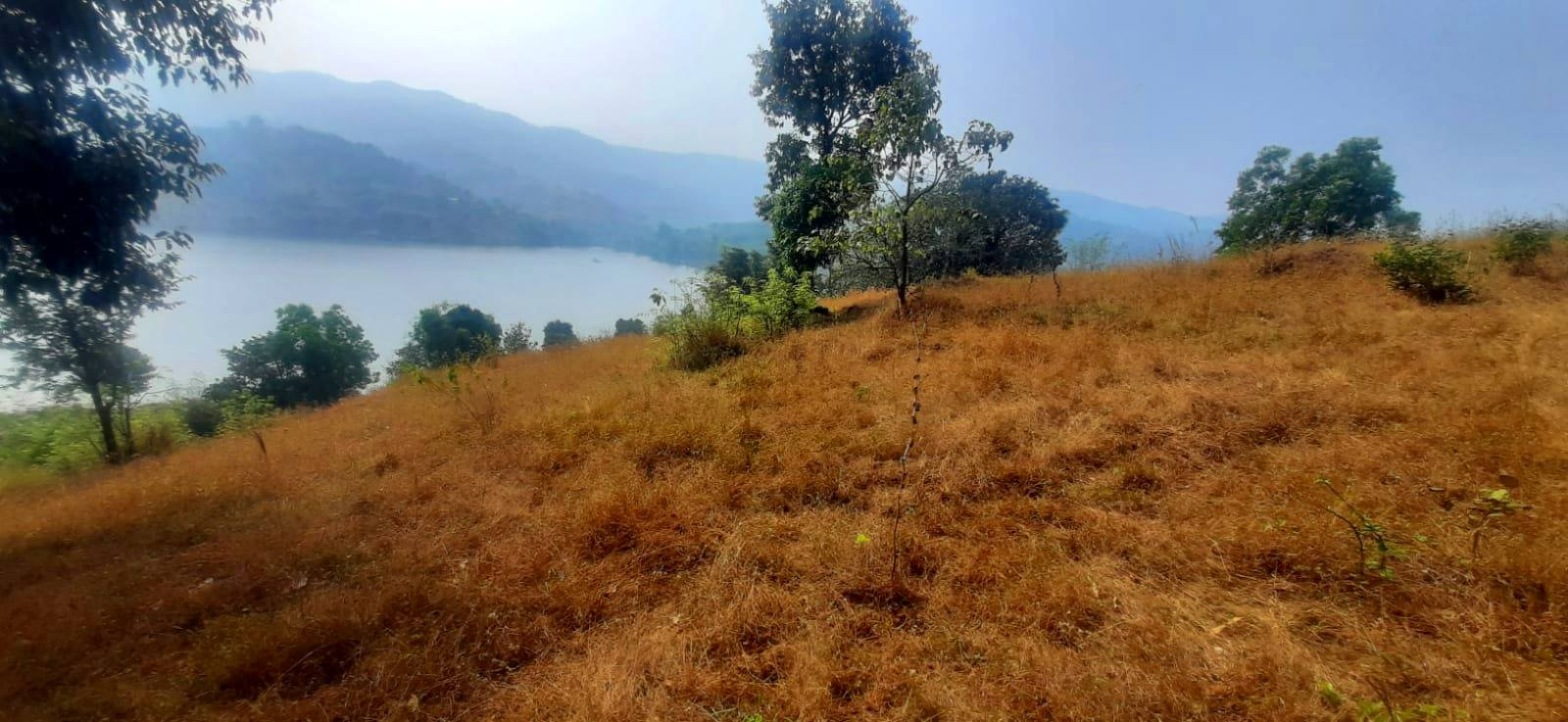 Bhor-Kurunji - 31.5 Gunthe Dam Touch Farmhouse Plot 