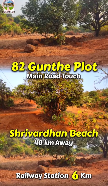 Mangaon-Malikondavni - 82 Gunthe Plot