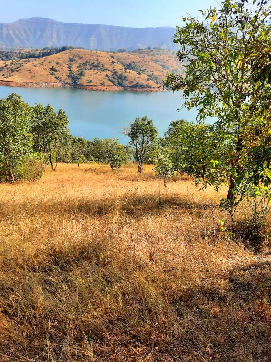 Bhor - 3 Acre Water Front Farmhouse Plot