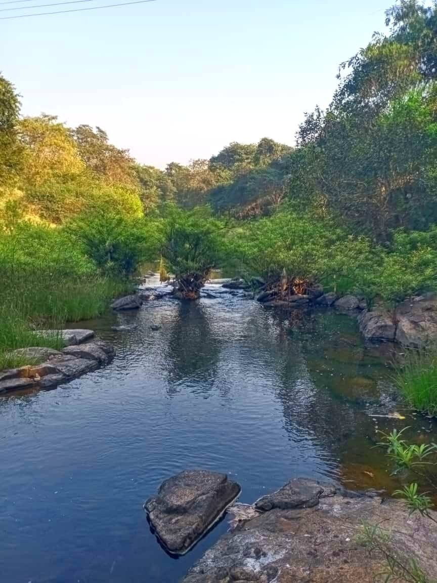 Ratnagiri-Lanja - 4.5 Acre Wadi with 1000 SQFT House 