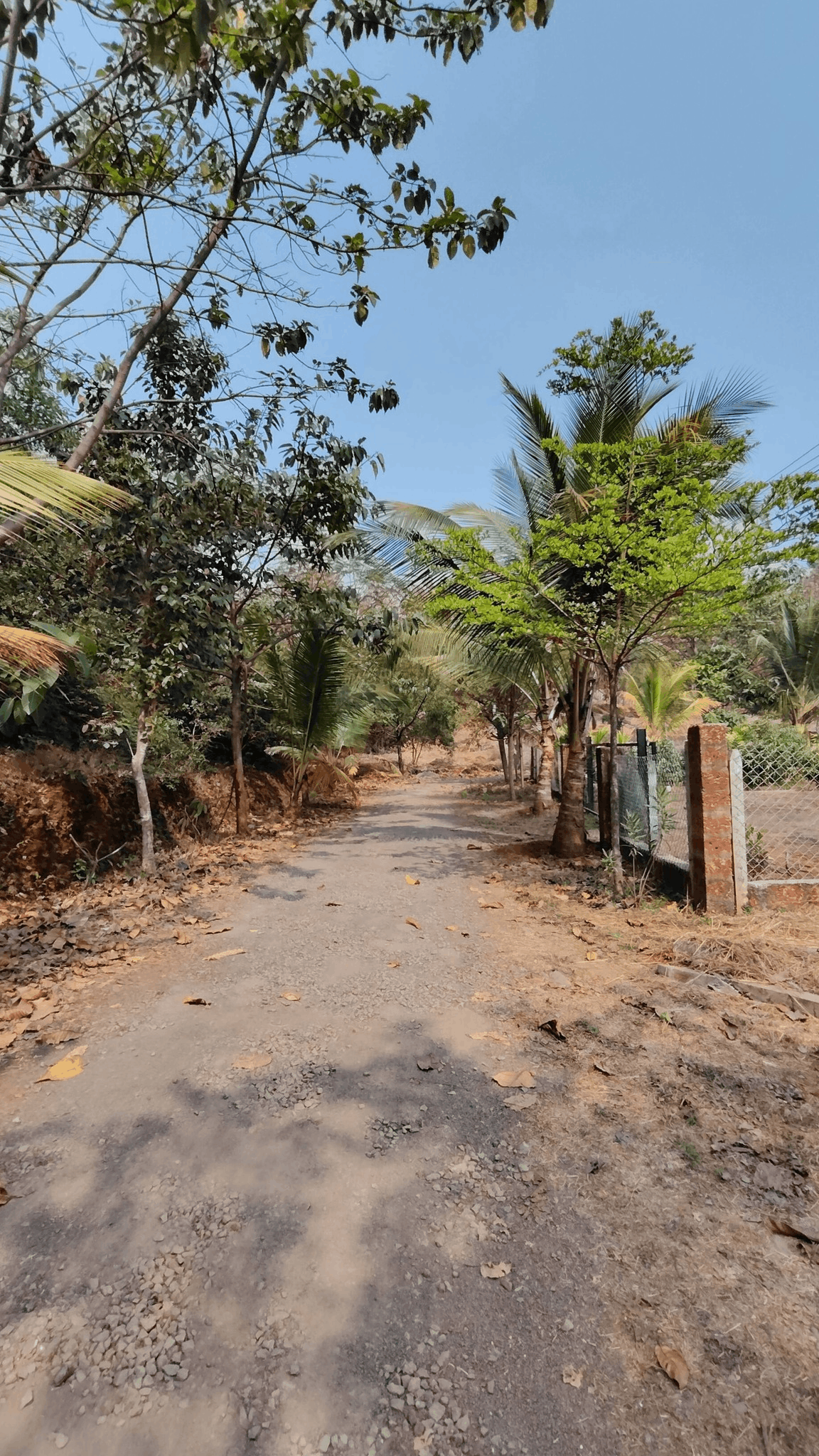 Konkan-Shrivardhan Valley - 5 Gunthe NA Plots for Sale