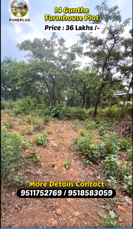 14 Gunthe farmhouse-plot in Girivan, Paud Road, Mulshi