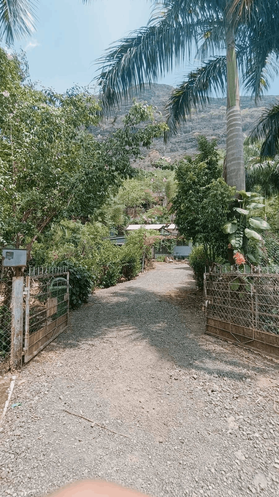 518-bungalow-08cfafa3-d4a3-479c-a21b-21a0d4ac854d.png