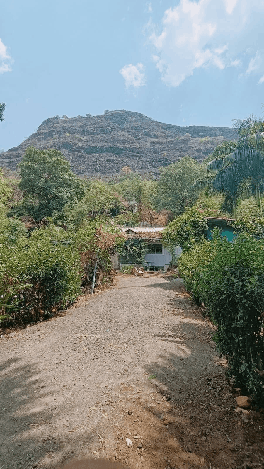 518-bungalow-8c3450f7-f2a3-4349-9a12-03a31a52e1ff.png