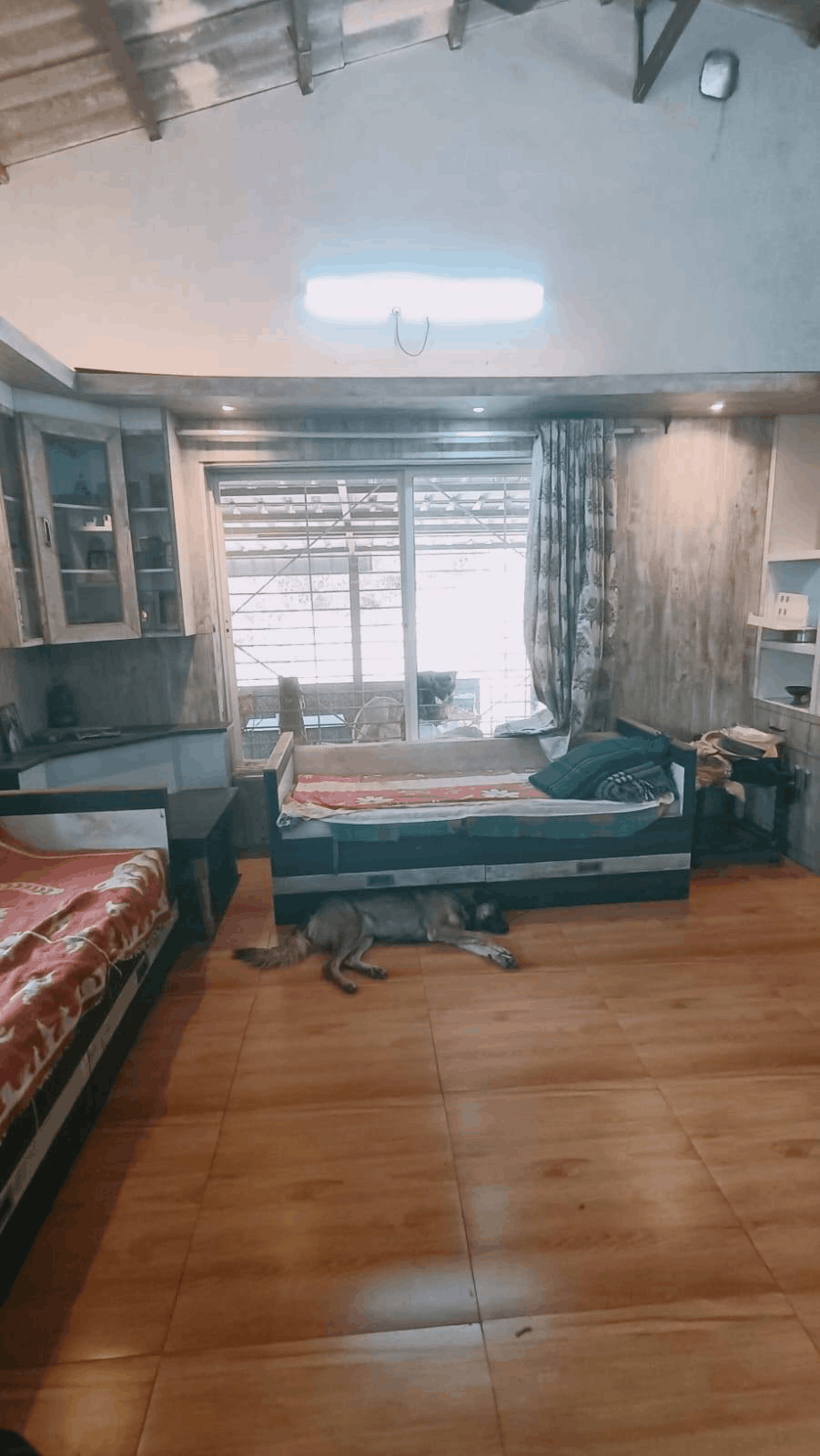 518-bungalow-bbd7f4da-7743-47e8-a1ed-25fa1f425fdc.png