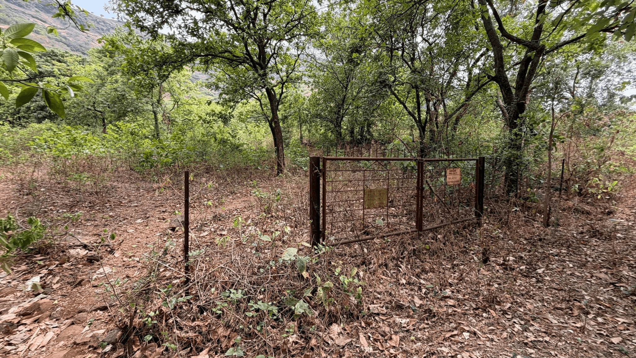 519-farmhouse-plot-7dc67cfb-d84a-48fb-aa09-cefe108d81db.png