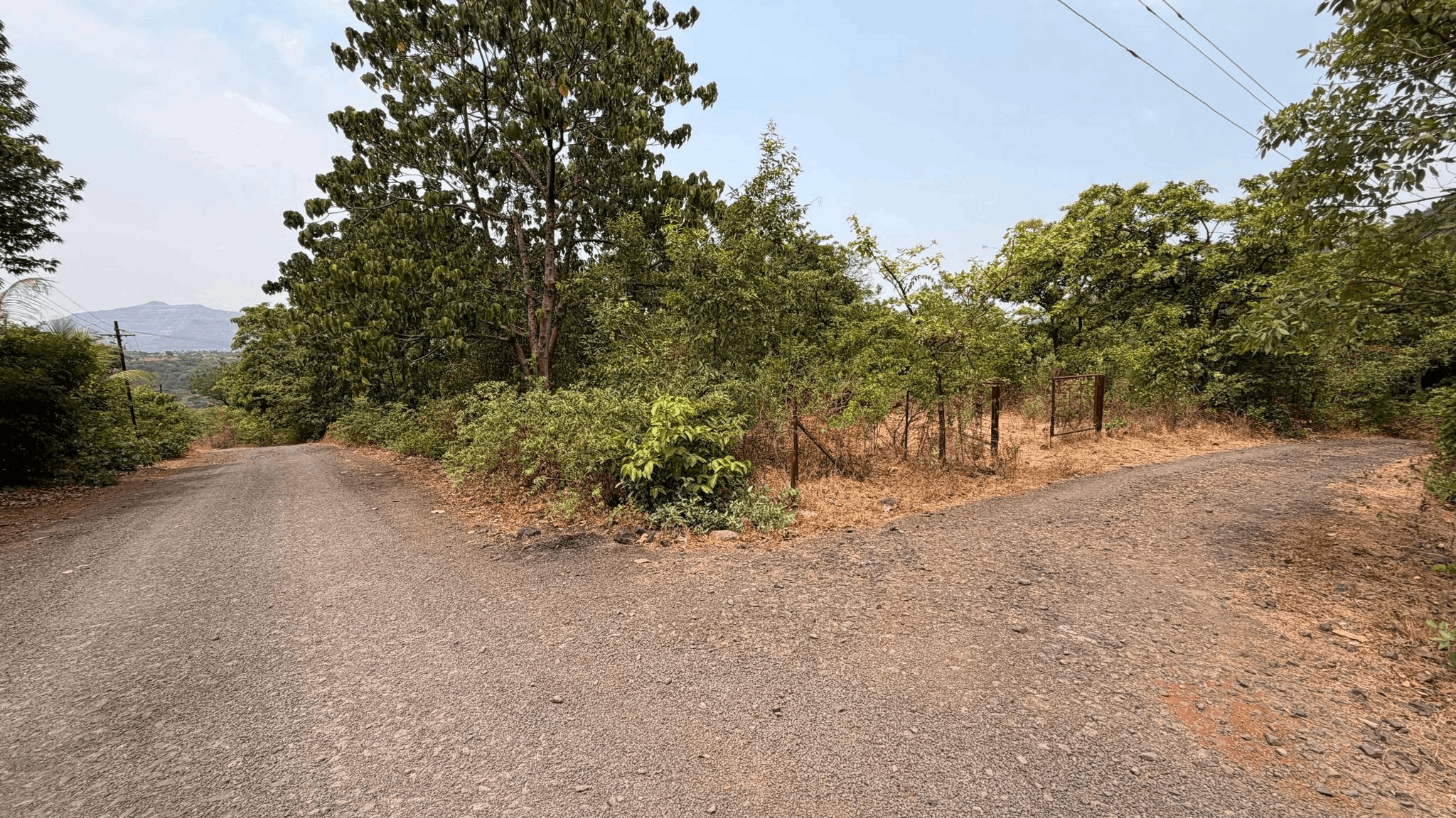 519-farmhouse-plot-81570402-77af-4d95-8336-017db93561f0.png