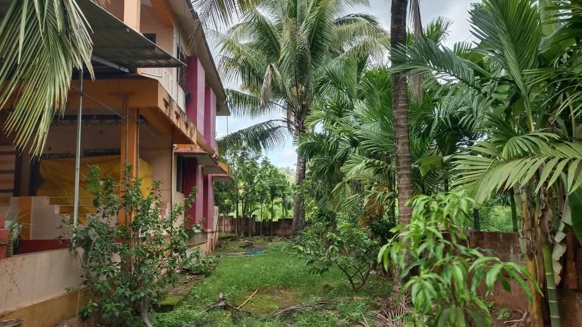 520-bungalow-1f4c1417-f435-40f0-97fd-755d29ec99db.jpg