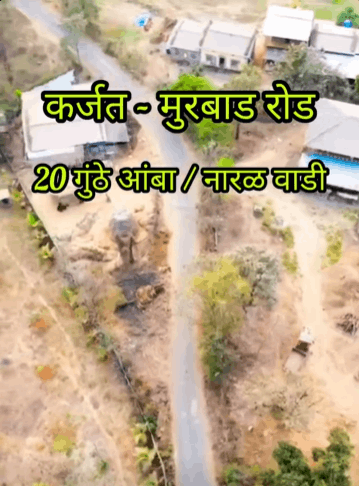 524-agriculture-plot-249bdddf-8de7-4480-ae4c-60f6af1248a1.png