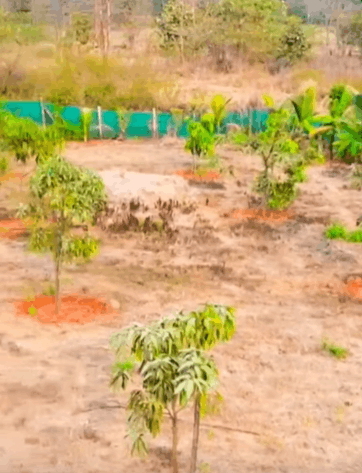 524-agriculture-plot-5af8b27b-b74e-4385-b2b1-5c5631ee6710.png