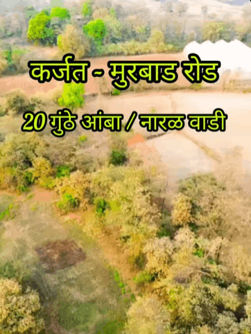 524-agriculture-plot-afa74e0a-9200-4fa0-a25e-a88d13c7f631.png