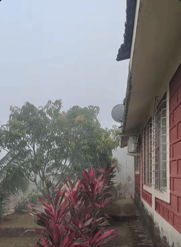 526-bungalow-0d8167e5-fac1-465d-80af-38a4ce8b8e0e.png