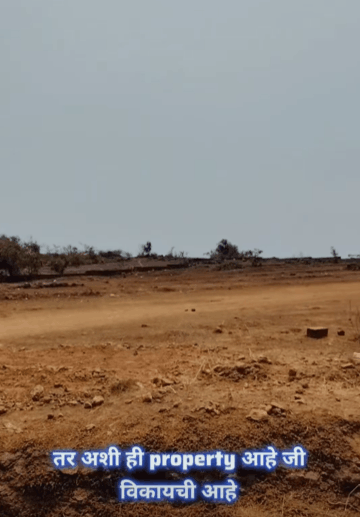 533-agriculture-plot-3d491096-ad1c-4aa2-bc2b-ae349f5bf4a9.png
